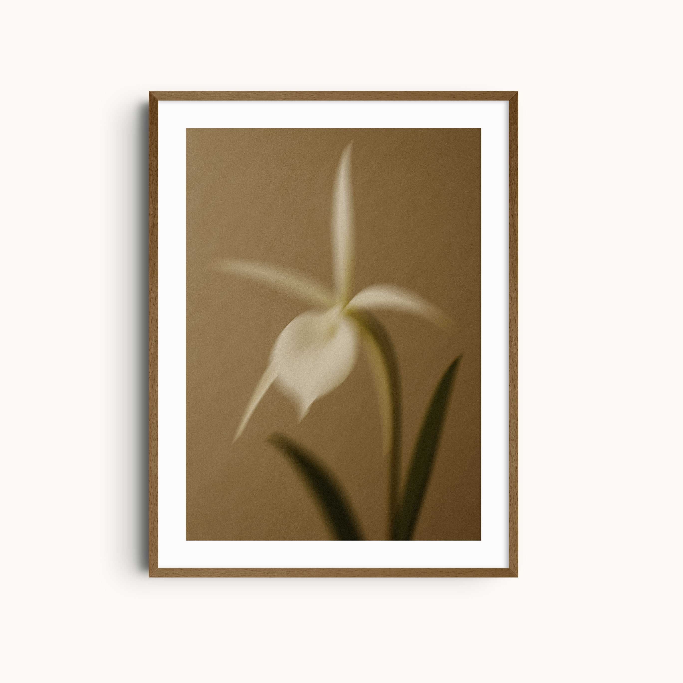 Flowerページ♡ Floral Haze