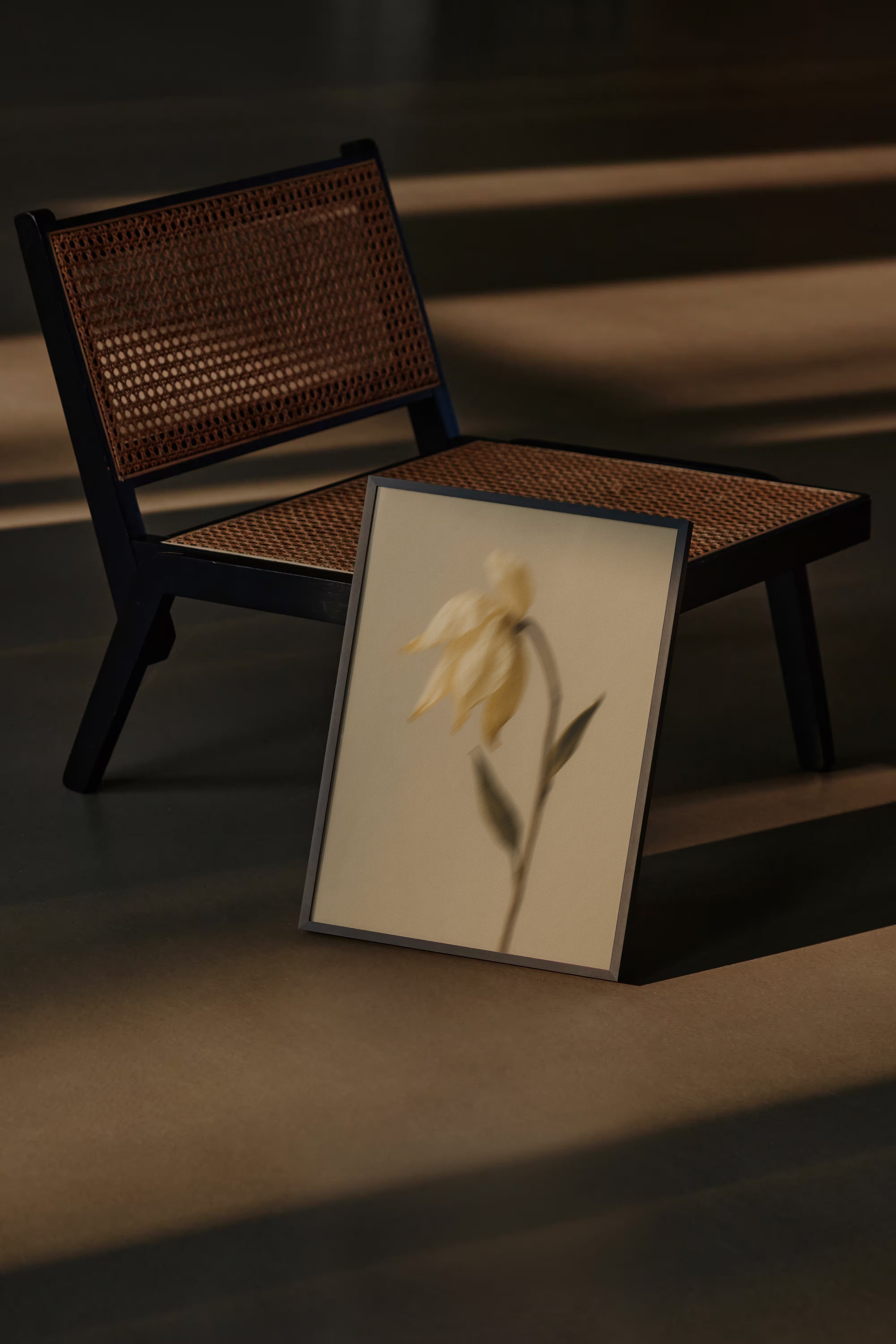 Bloom Collection