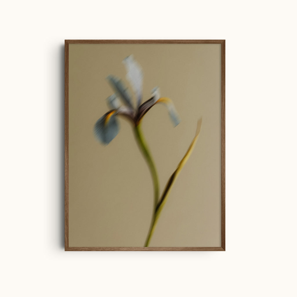 Bloomed Memory | Blue Flower Photography