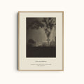 Glass and Shadows | Vintage Still Life Photography Minimalist Wall Art Print