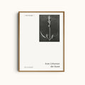 Salvia Enlarged by Karl Blossfeldt | Botanical Black and White Photography Minimalist Wall Art Print