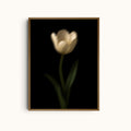 Charcoal Tulip