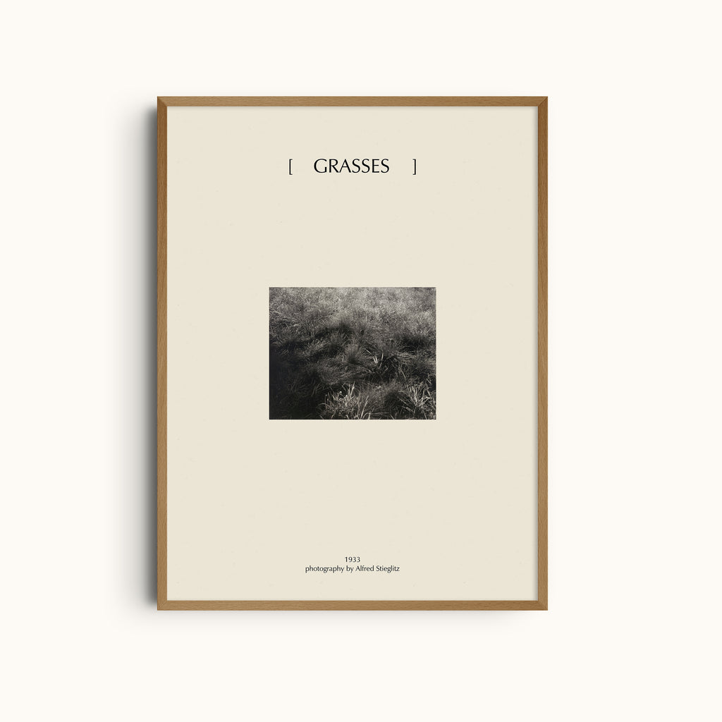 Grasses | Minimalist Black and White Nature Photography Wall Art Print