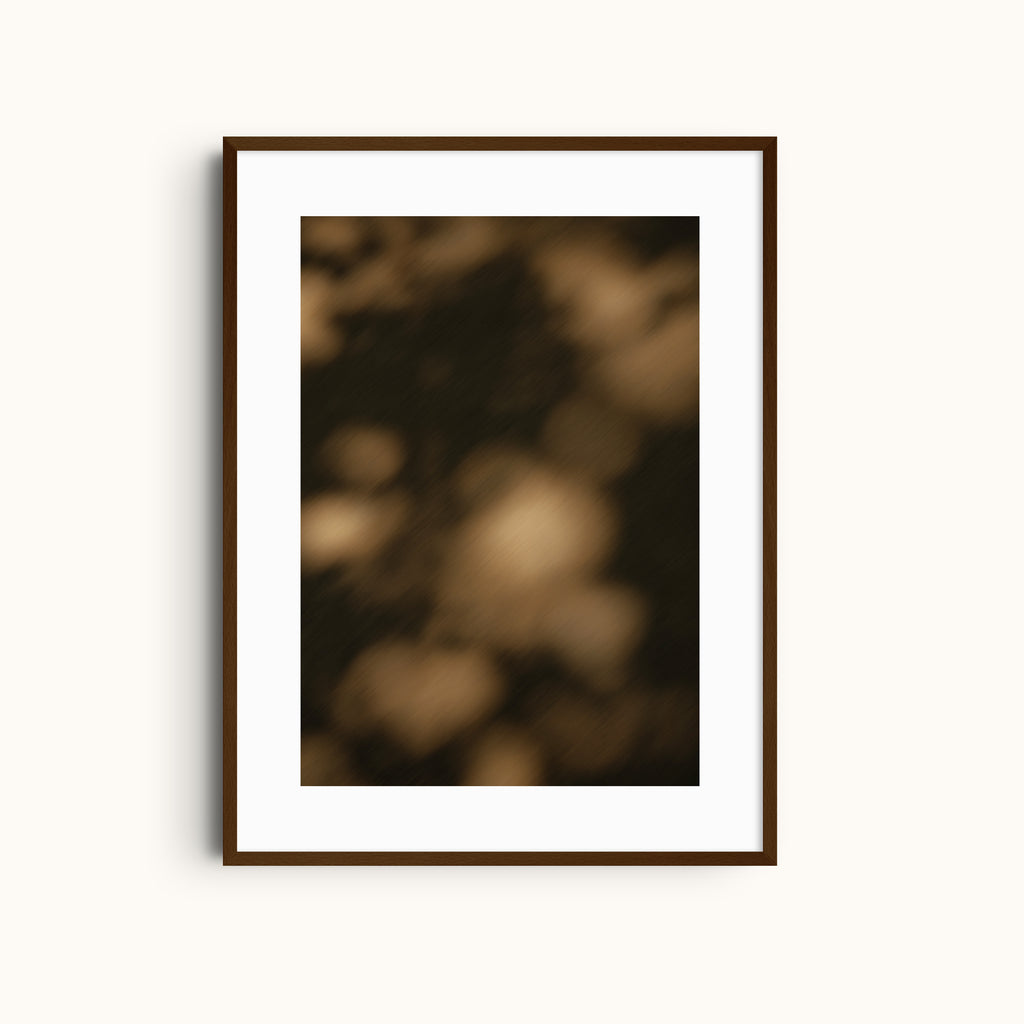 Midnight Grain | Dark Shadows Print