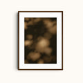 Midnight Grain | Dark Shadows Print