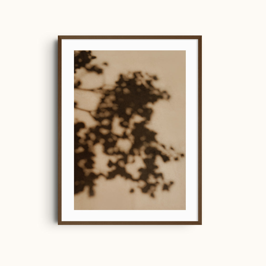 Shadows Pulse | Rhythmic Shadows