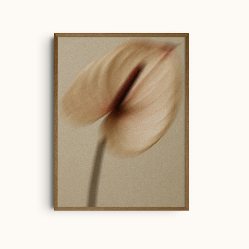 Slow Presence | Blurred Anthurium Flower