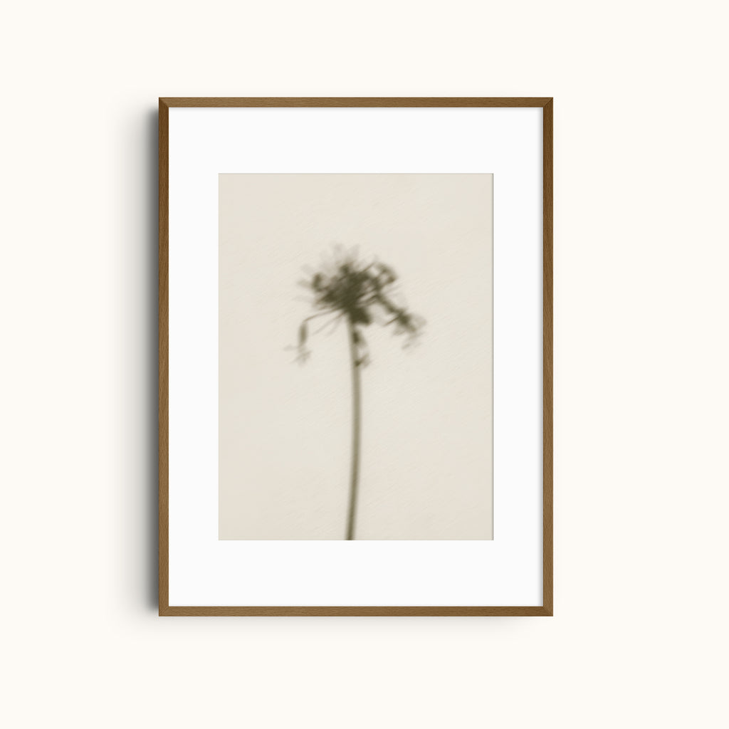 Still Hour | Minimalist Stem Shadow