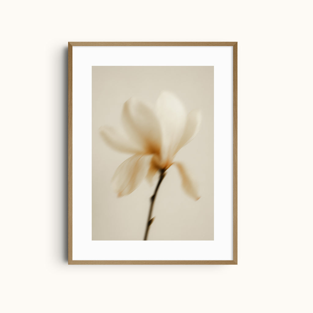 Silent Muse | Soft Flower Art Print