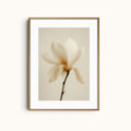 Silent Muse | Soft Flower Art Print