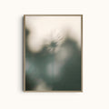 Cold Breeze | Dandelion Shadows Print
