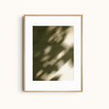 Hidden Garden | Green Shadows