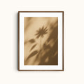 Melted Sunflower | Warm Flower Shadows
