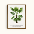 Vintage Palm Botanical Print | Premium Wall Art