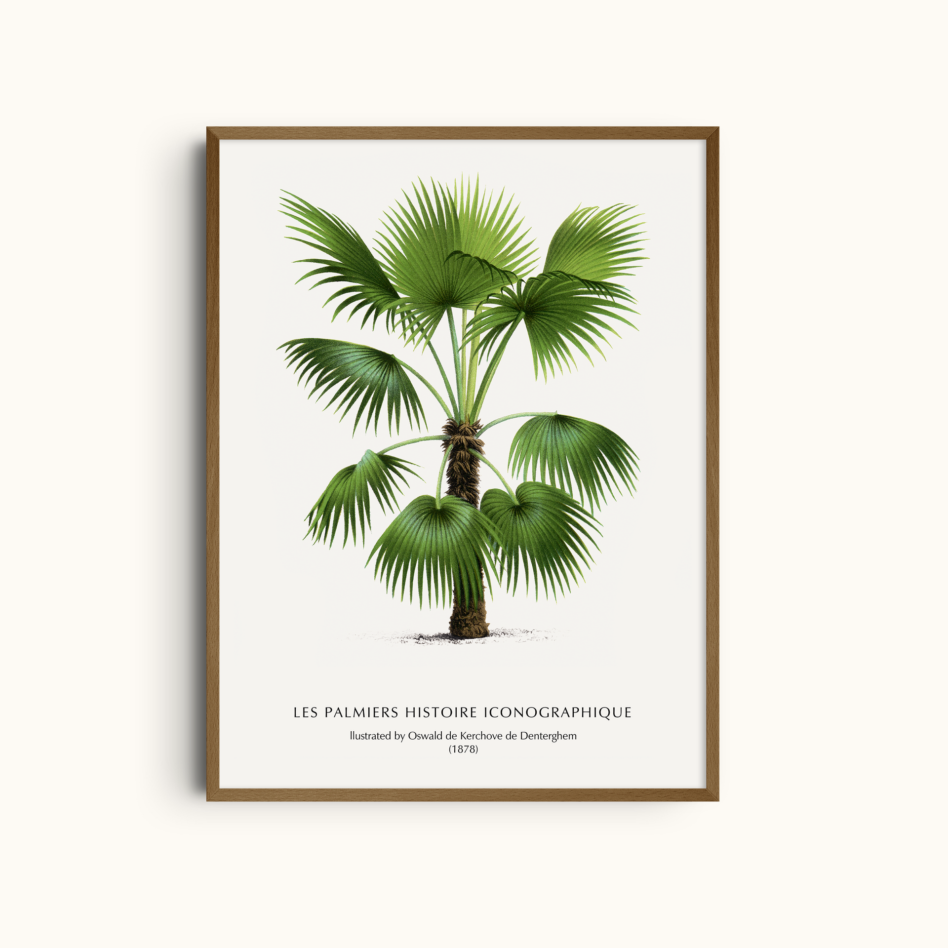 Vintage Palm Botanical Print | Premium Wall Art