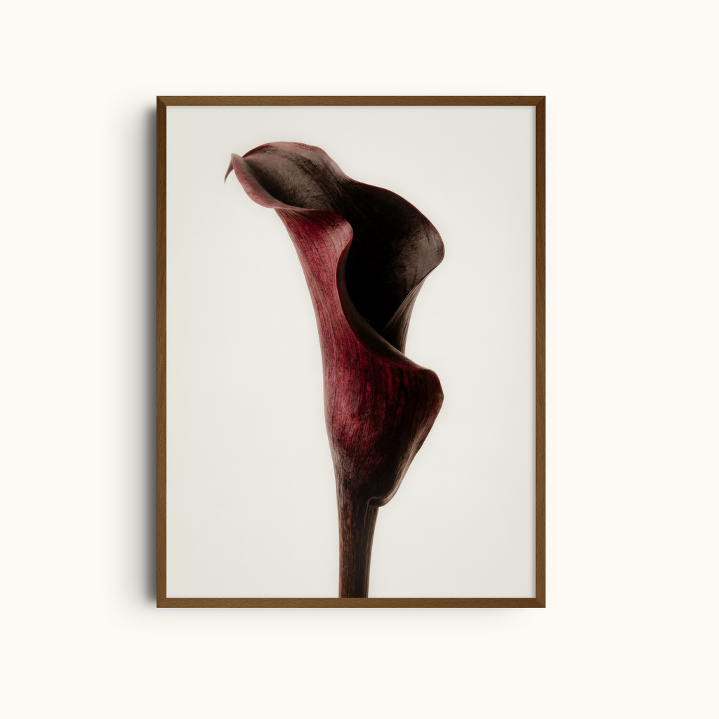 Velvet Calla | Burgundy Lily Print