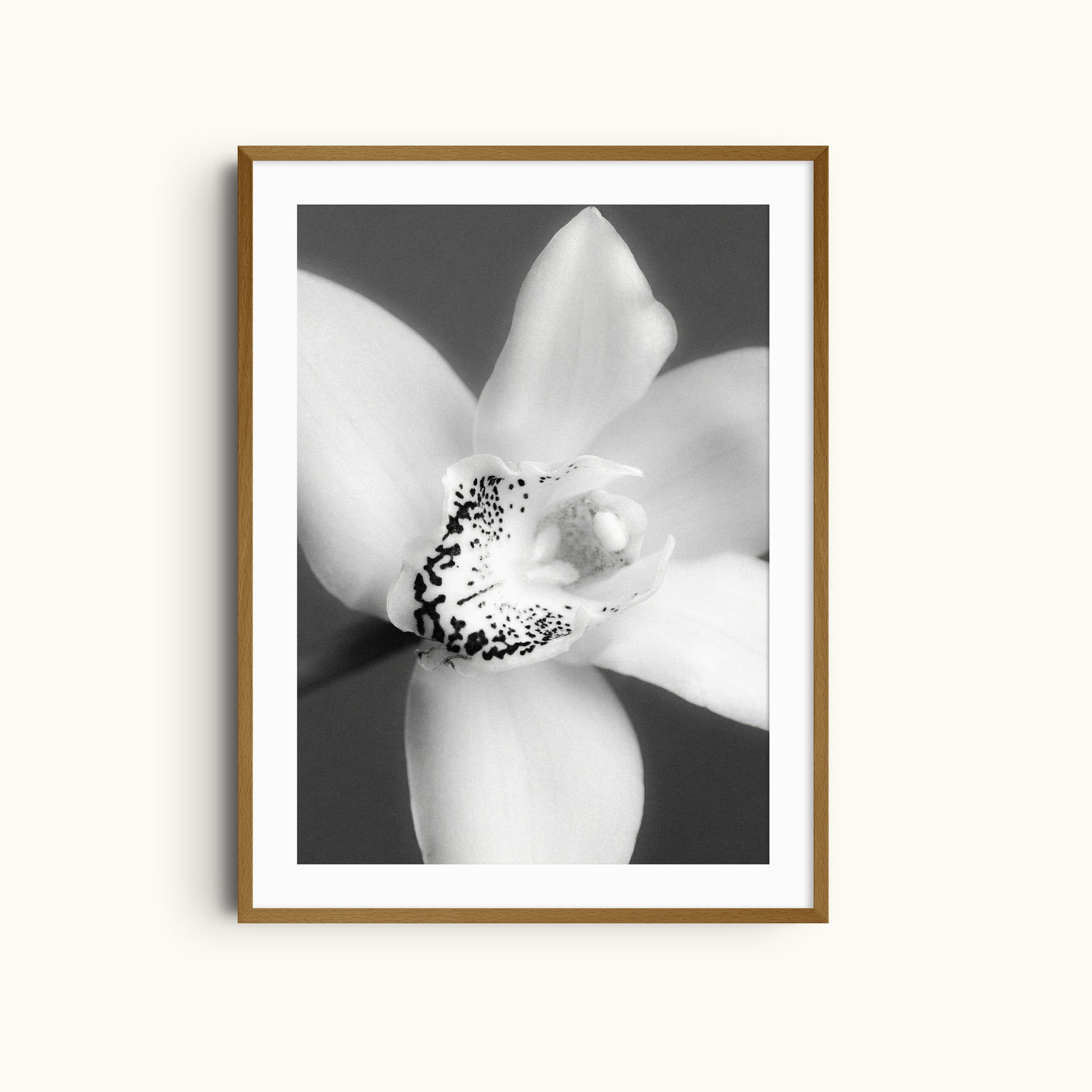 Soft Focus | Monochrome Minimalist Orchid Print