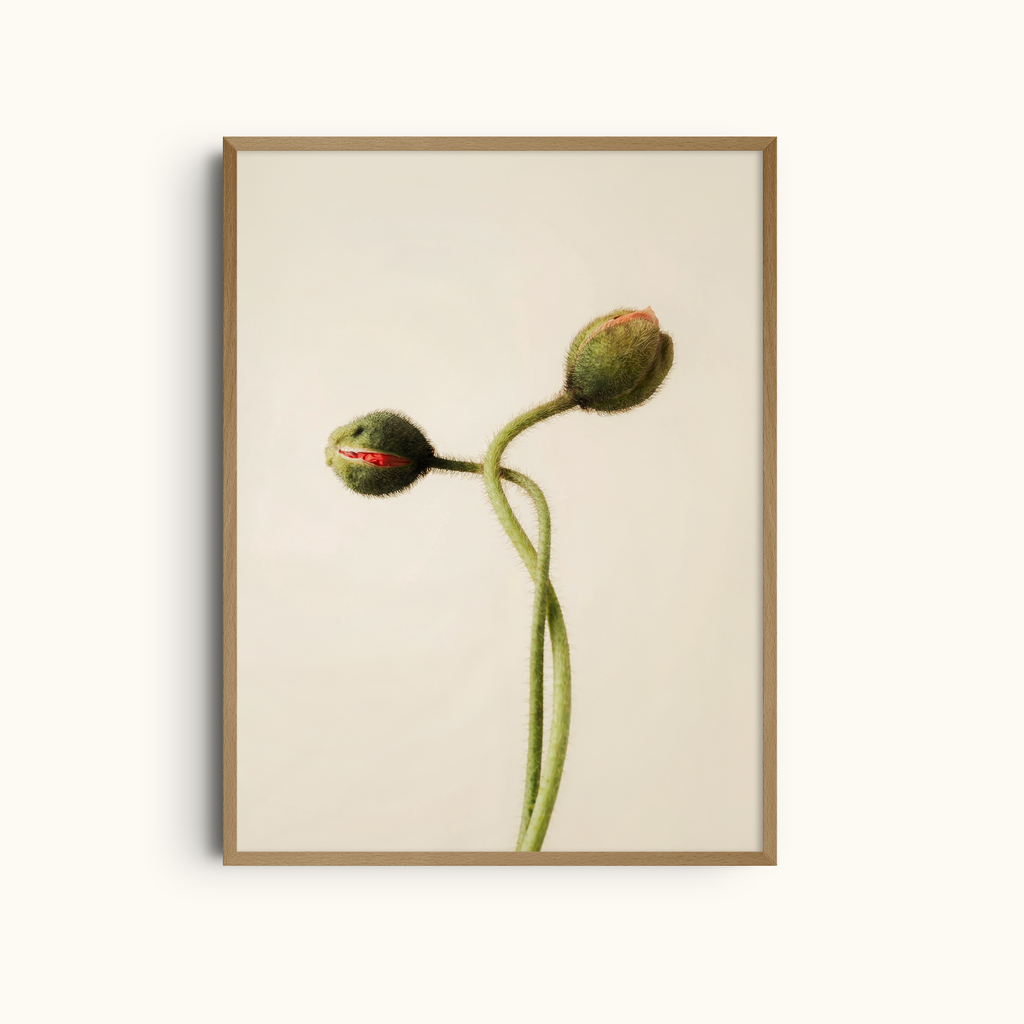 Moving Pair | Green Buds Print