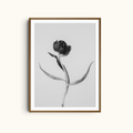 Still Tulip |  Black and White Minimalist Floral Art Print