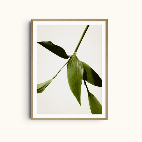 Pure Green | Green Leaf Print Minimalist Botanical Wall Art