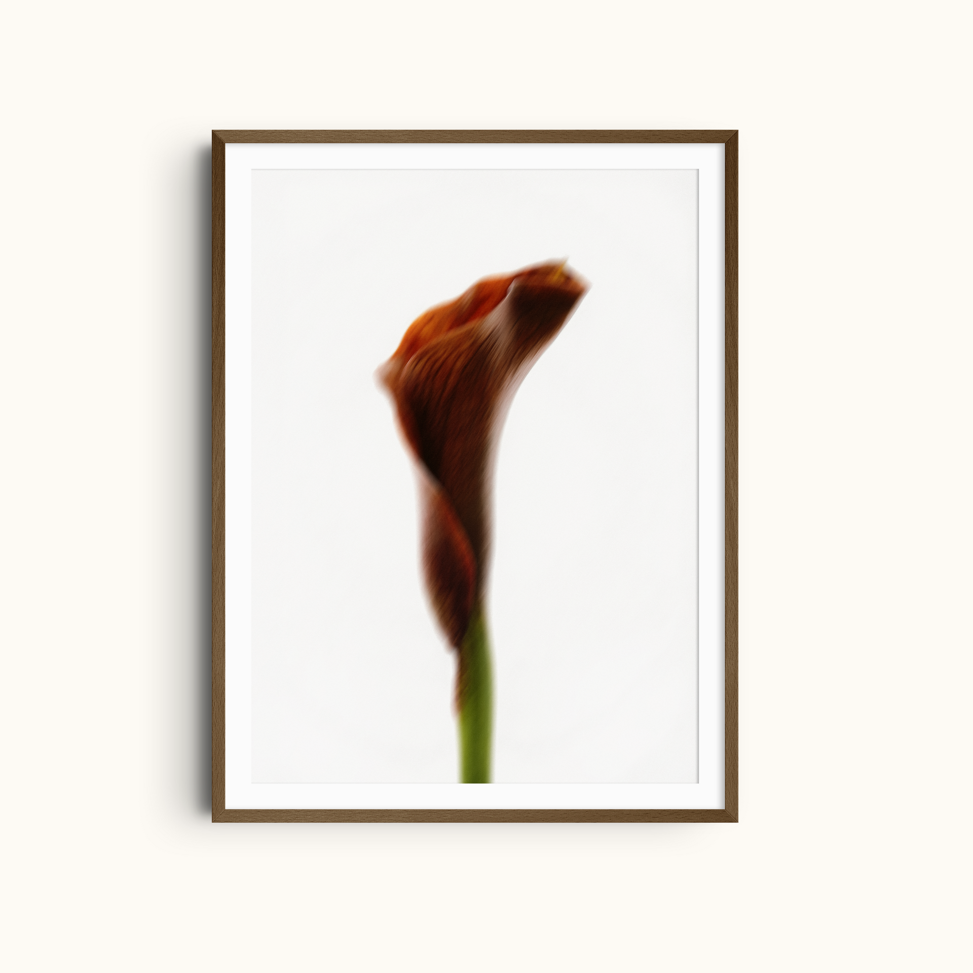 Velvet Flame | Blurred Floral Art Print