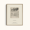 Hydrangea in Glass | Vintage Photography Still Life Print