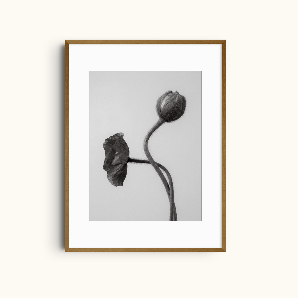 Flowers Dualism | Minimalist Black and White Wall Art
