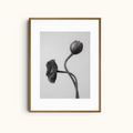 Flowers Dualism | Minimalist Black and White Wall Art