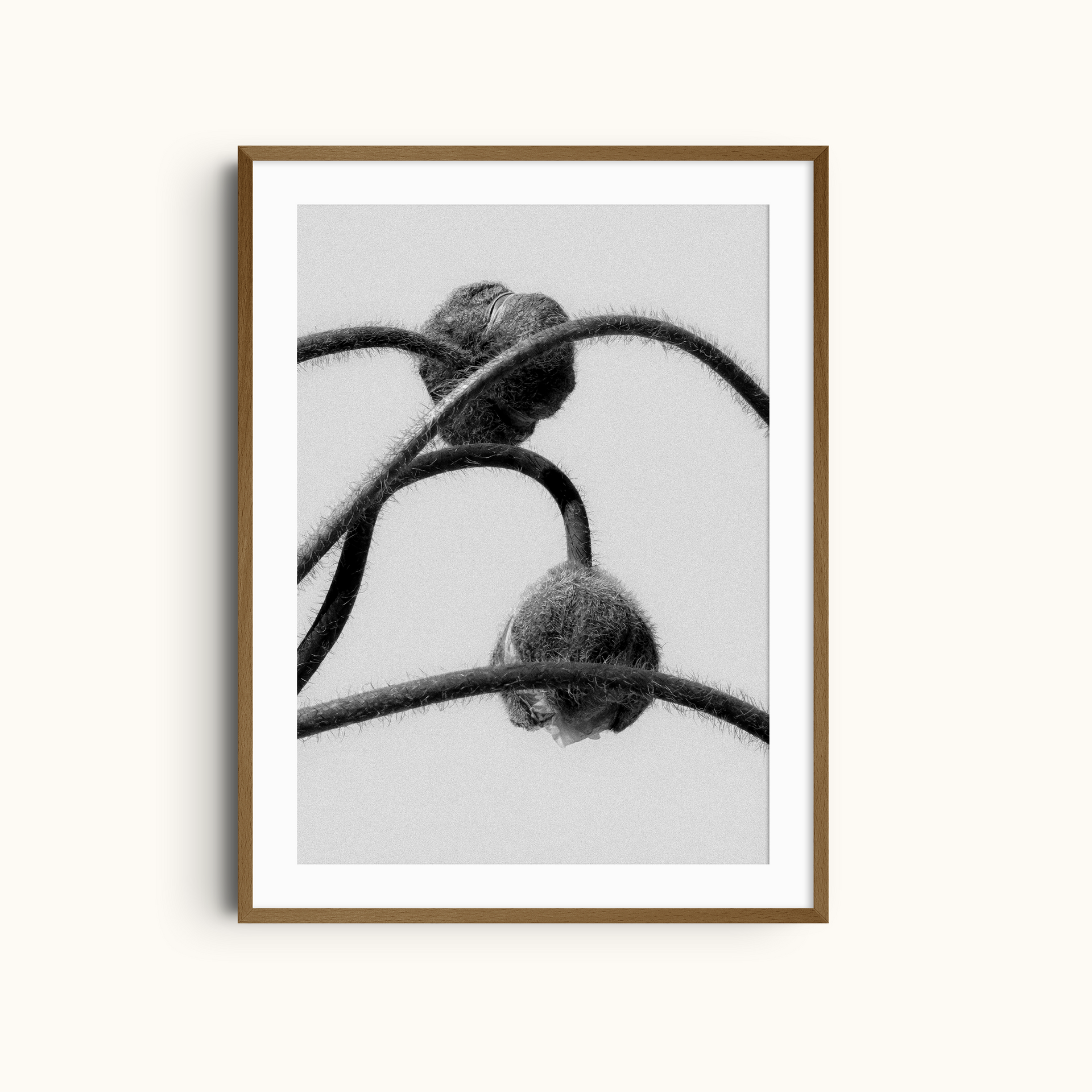 Interwoven Forms | Abstract Floral Lines
