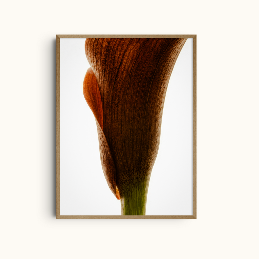 Tactile Surface | Abstract Floral Texture