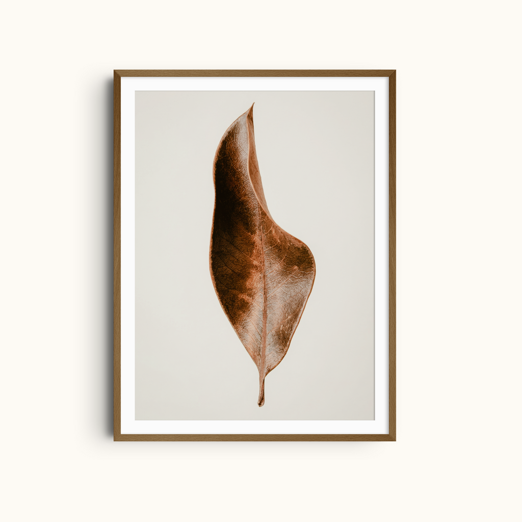 Curved Leaf | Botanical Wall Art Neutral Dry Leaf Print