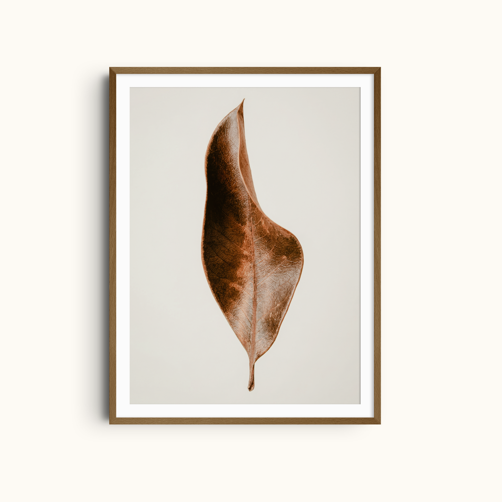 Curved Leaf | Botanical Wall Art Neutral Dry Leaf Print