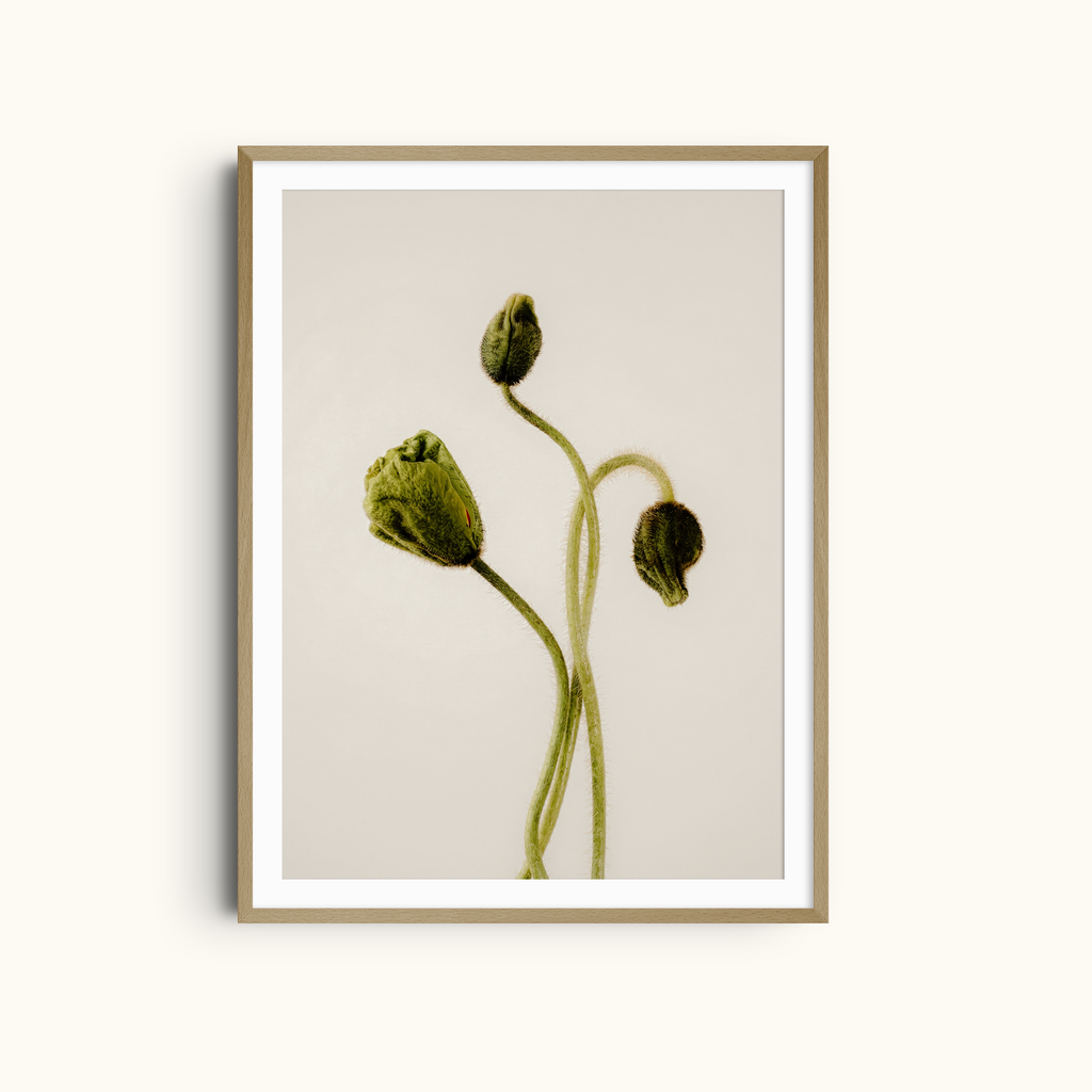 Tender Forms | Minimalist Botanical Green Art