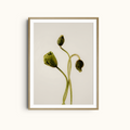 Tender Forms | Minimalist Botanical Green Art