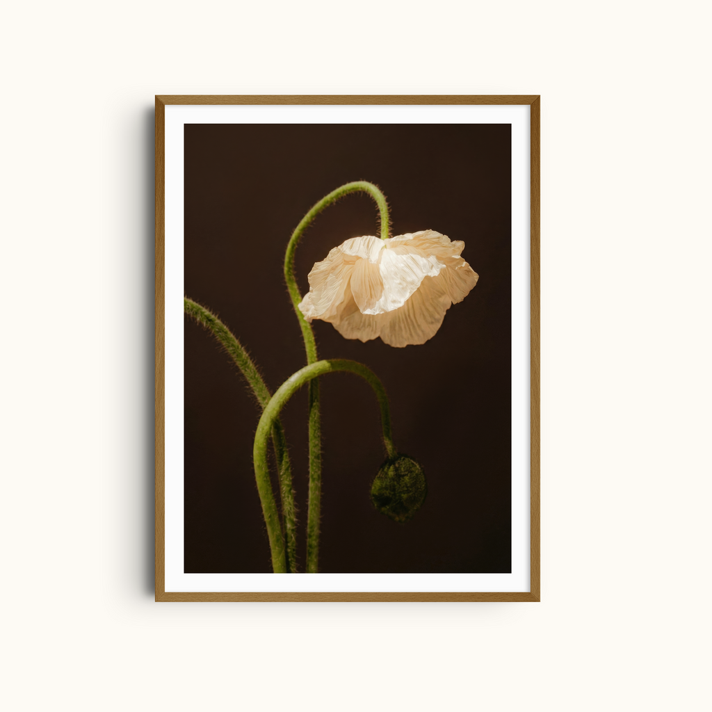 Fading Grace | Moody Art Print