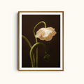 Fading Grace | Moody Art Print