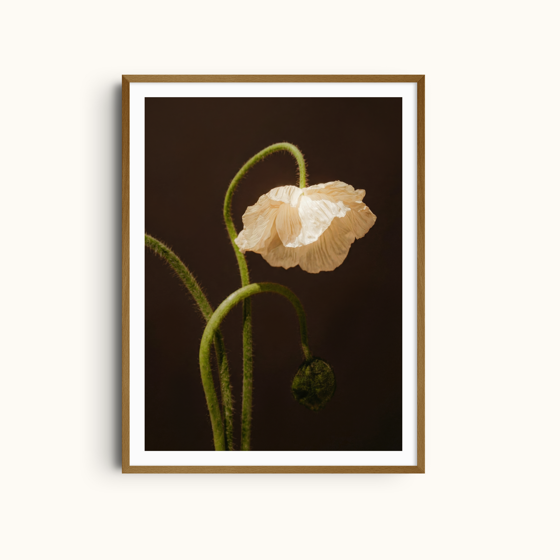 Fading Grace | Moody Art Print