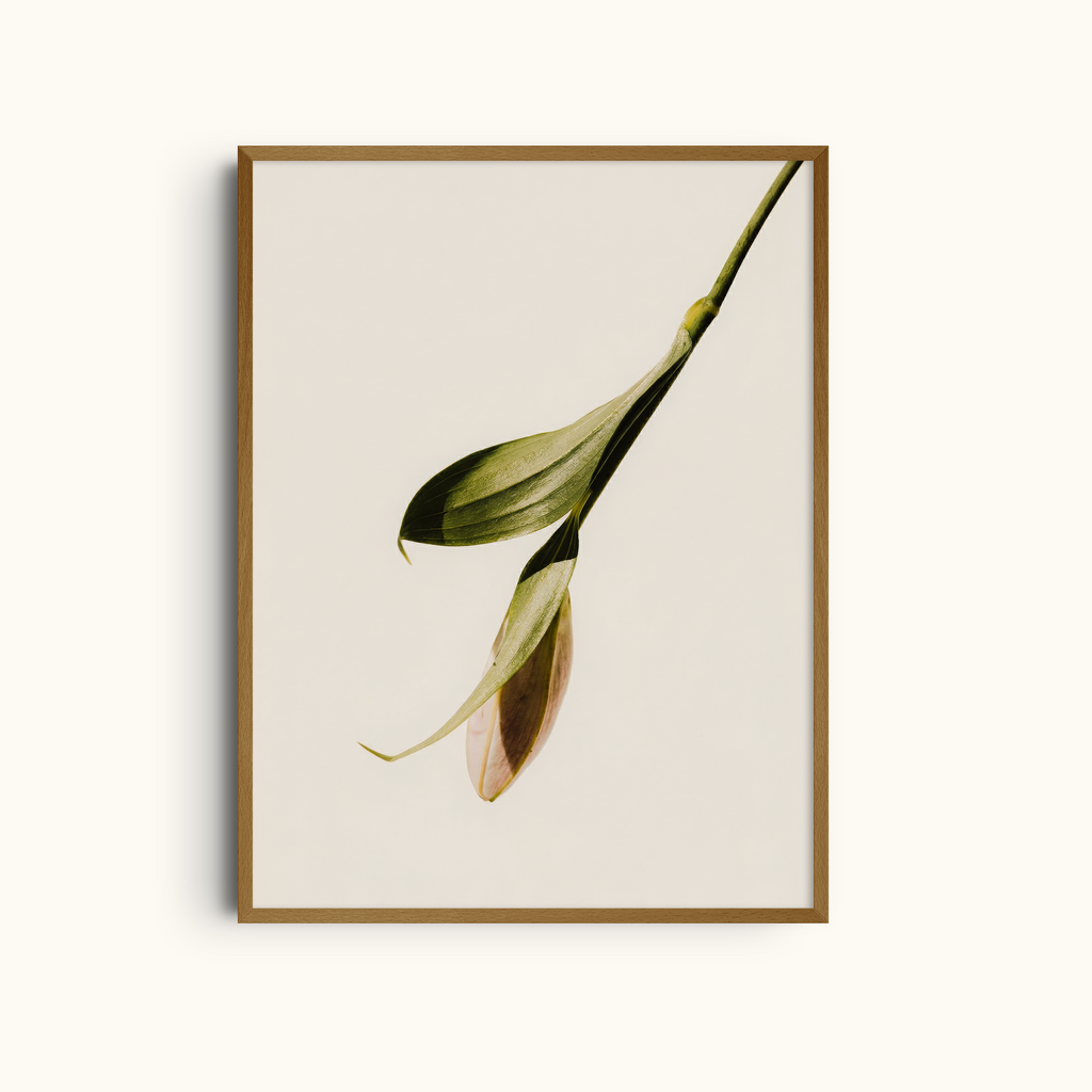 Subtle Lily | Neutral Elegant Print