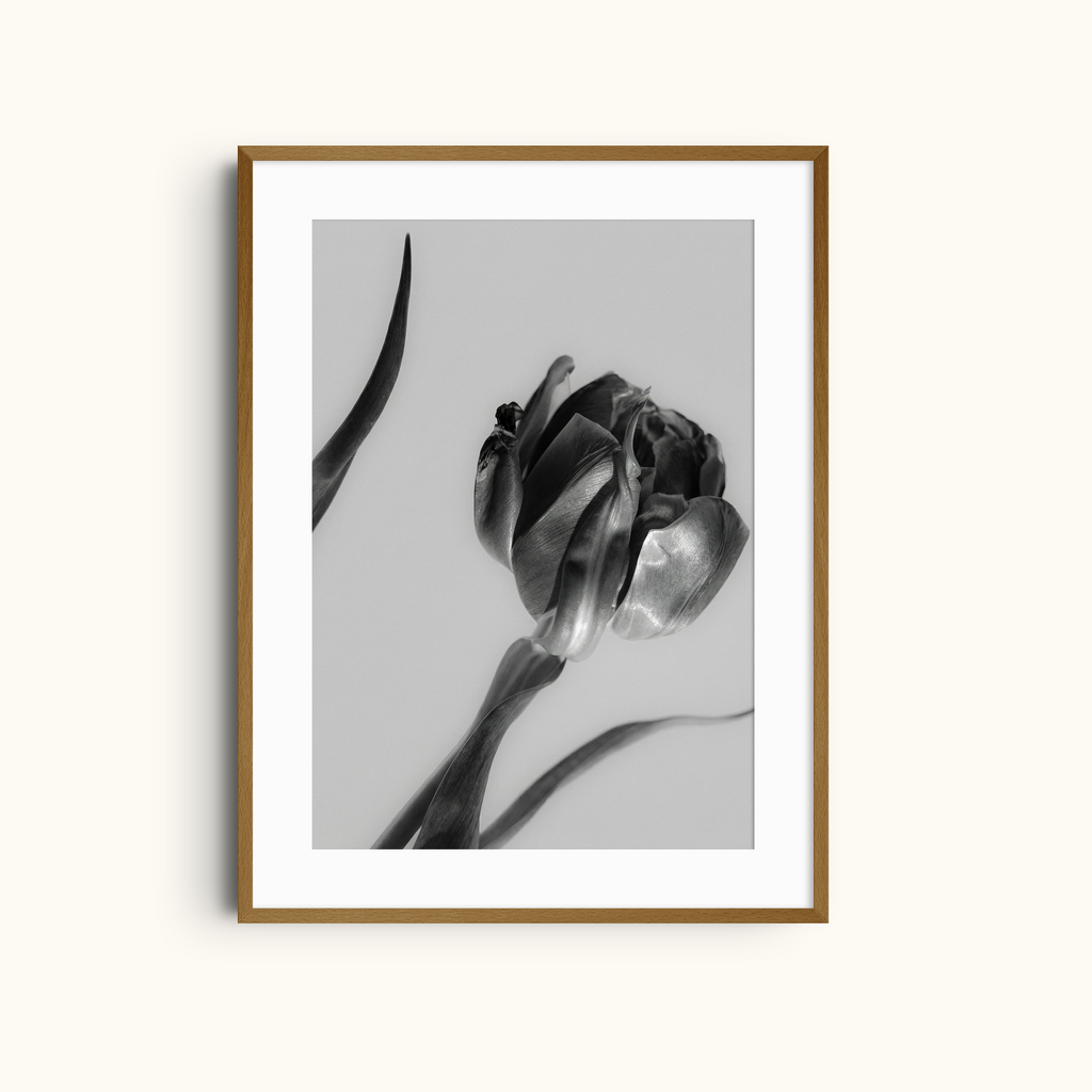 Dark Petals | Monochrome Floral Art Print