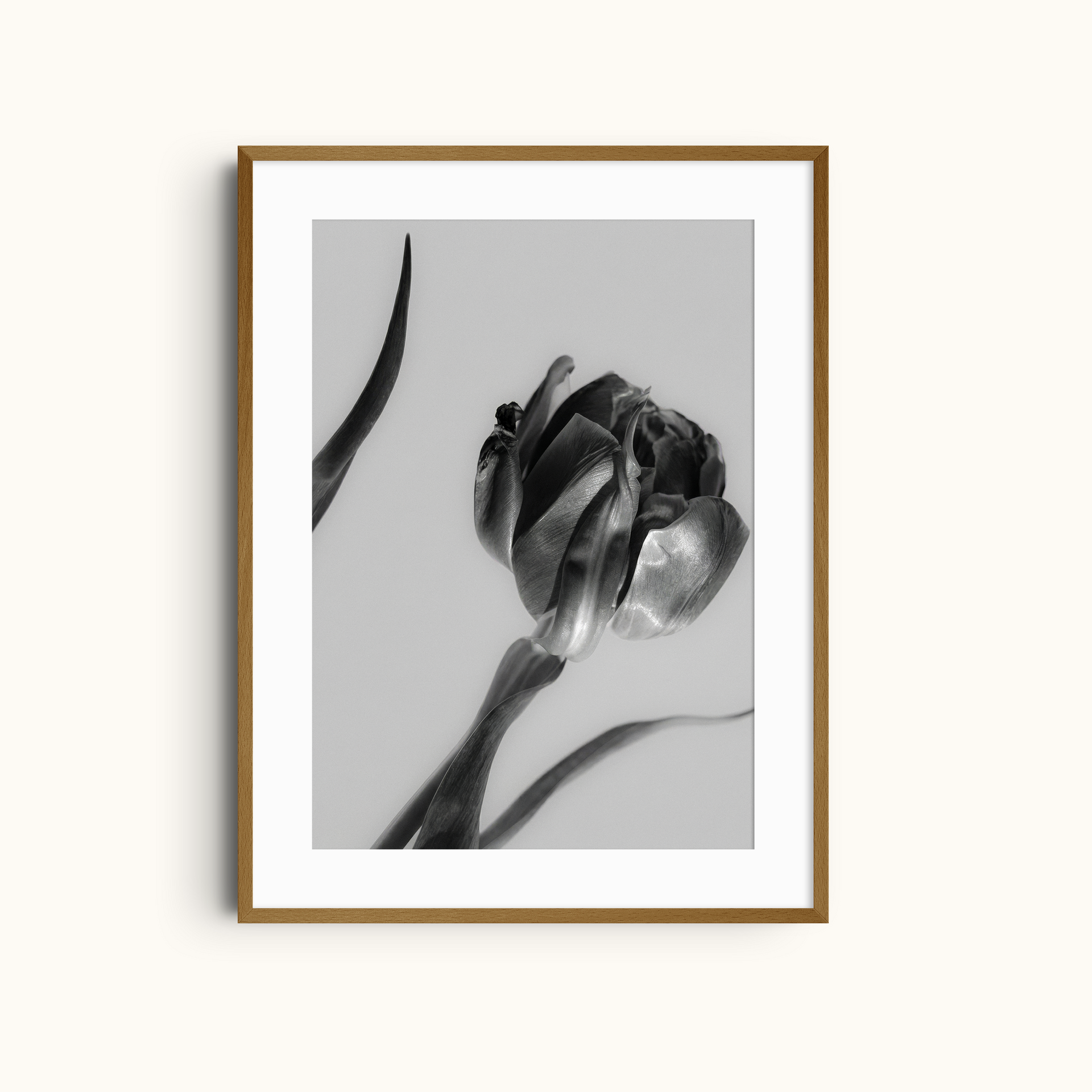 Dark Petals | Monochrome Floral Art Print