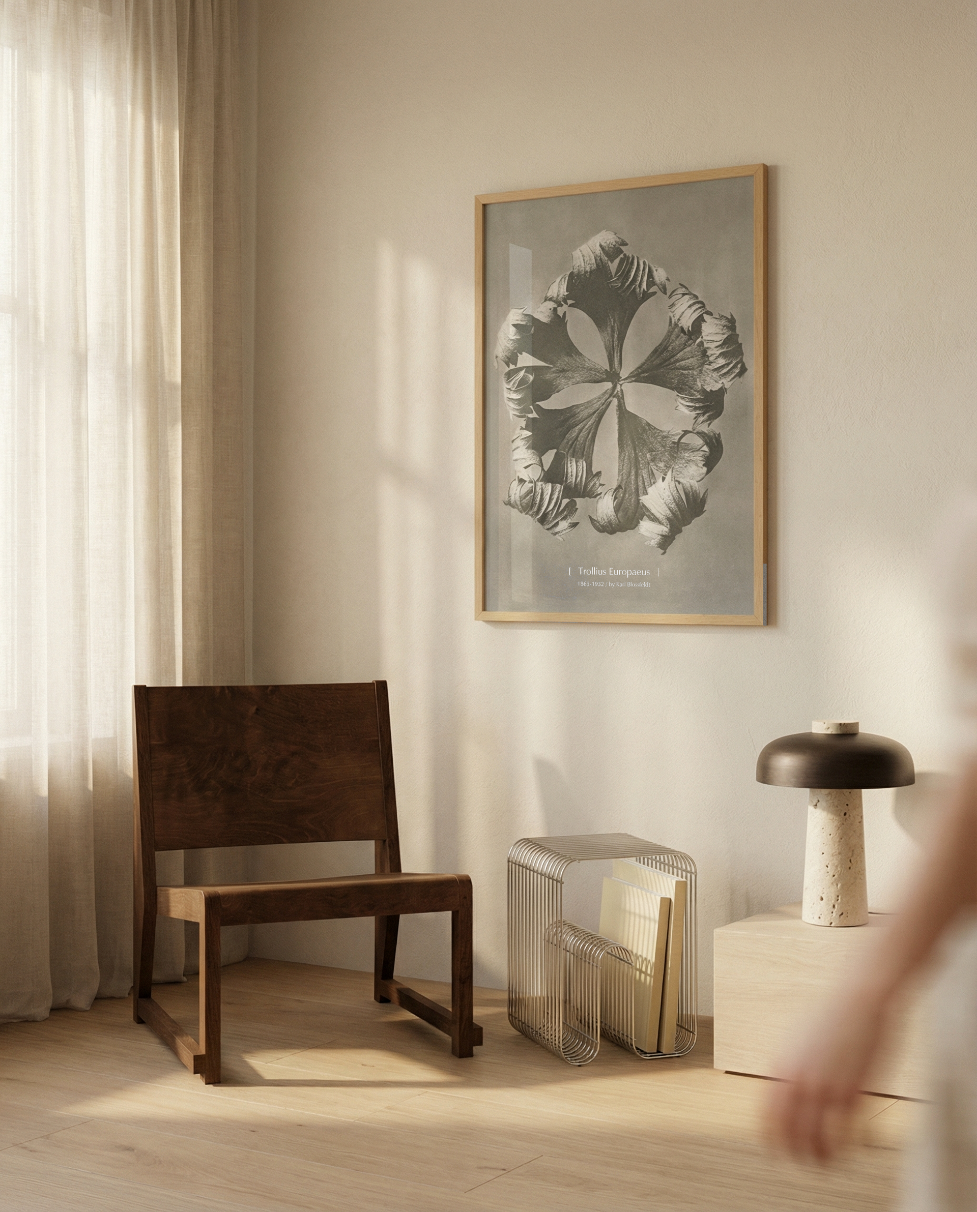 Trollius Europaeus | Minimalist Botanical Photography Wall Art Print