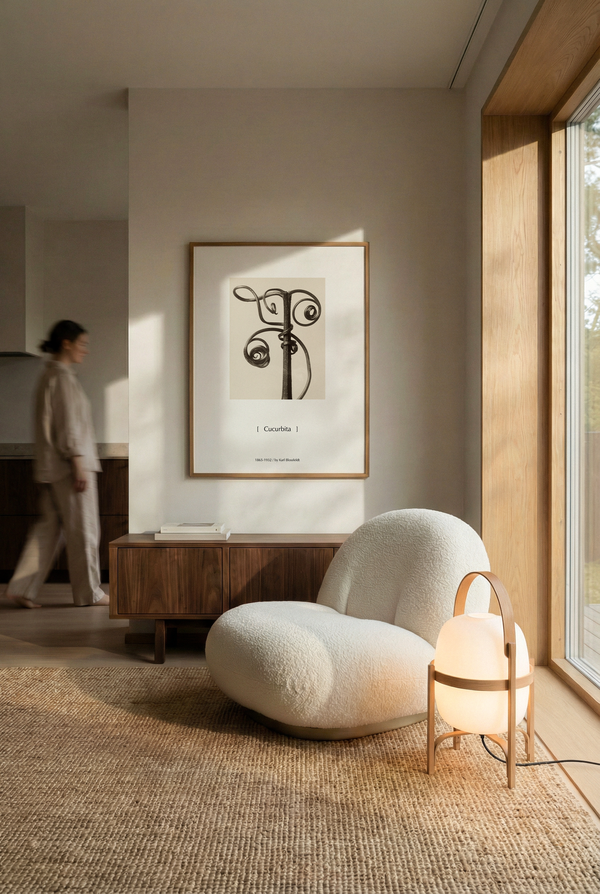 Cucurbita by Karl Blossfeldt | Botanical Modernist Photography Minimalist Wall Art Print