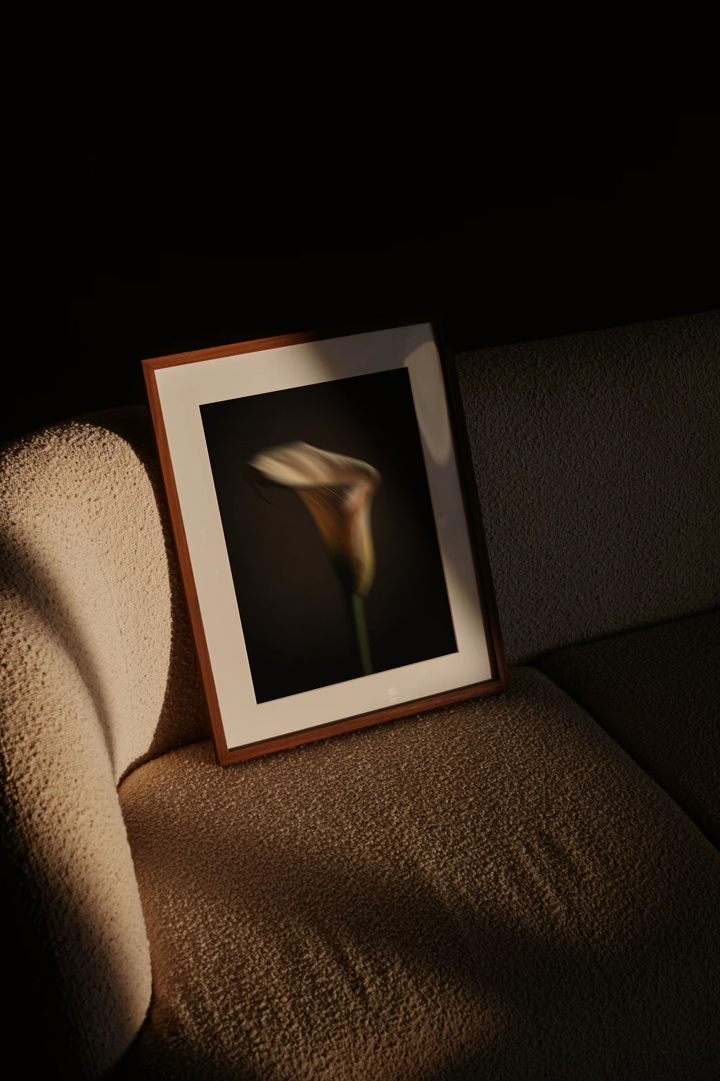 Muted Elegance | Contrast Calla Lily